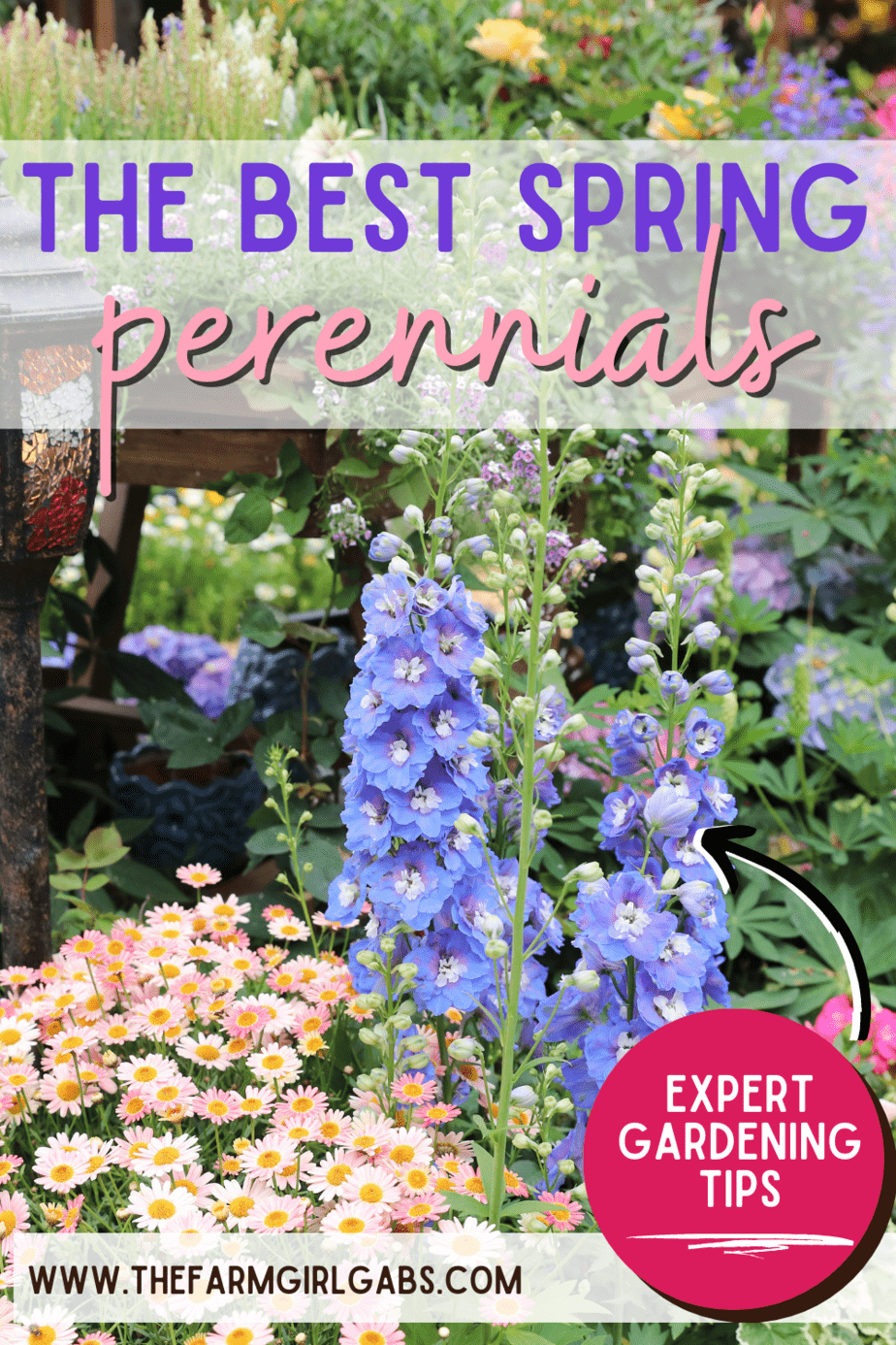 The Best Perennial Flowers For Early Spring The Farm Girl Gabs