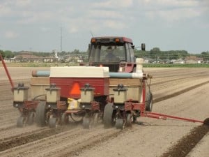 Tips For Planting A Vegetable Garden