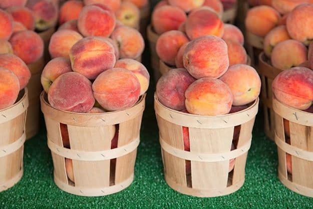Grab some fresh peaches from your local farmers' market and make this delicious homemade peach milkshake. This easy milkshake only has 3 simple ingredients. It's the perfect summer treat. A Peach Milkshake is a delicious drink that combines the flavors of peach and milk. It is perfect for a hot summer day, or any time you want something sweet and refreshing.