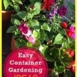 Easy container flower gardening ideas for spring and summer.