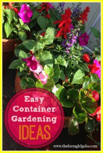 Easy container flower gardening ideas for spring and summer.