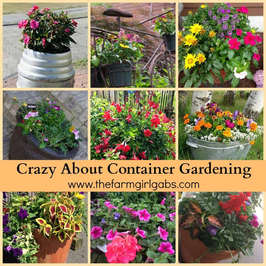 crazy about container gardening-www.thefarmgirlgabs