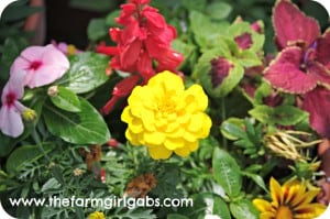 IMGP0659