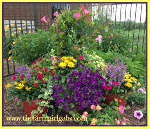 flower-pots