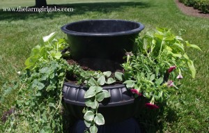 birdbath step 2