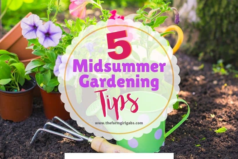 5 Ways to Spruce Up Your Midsummer Garden