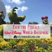 Pack the Perfect Walt Disney World Backpack