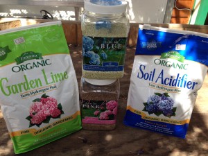 Products to regulate the color of your hydrangeas/