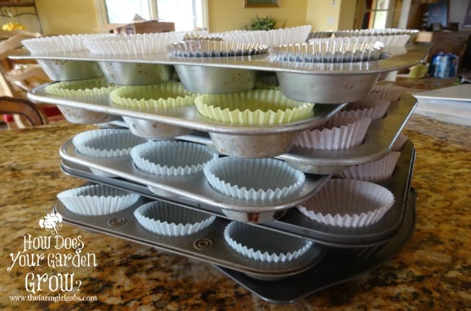 Baking Pans