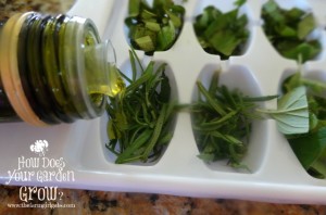 Freezing Herbs in EVOO