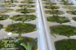 Herb Trays