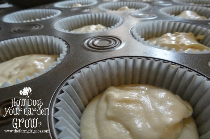 Unbaked Vanilla Cupcakes
