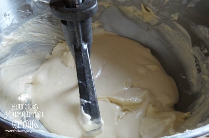 Vanilla Cupcake Batter
