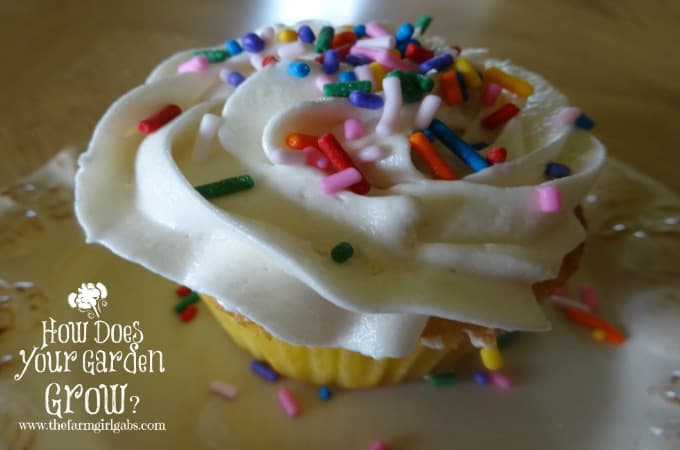 Vanilla Cupcake
