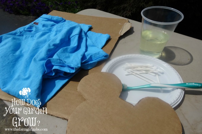 Disney Shirt Supplies