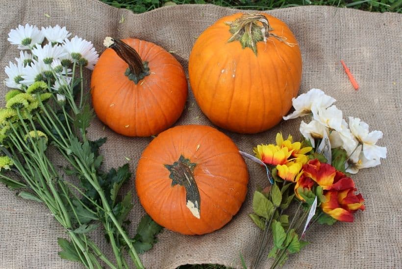 Get creative with your fall front porch decor this year. These festive no-carve flower pumpkins are so pretty and so easy to make. These pumpkin flower arrangements are so welcoming.