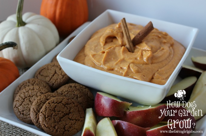 Pumpkin Cheesecake Dip-image