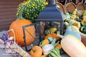 lantern with pumpkins