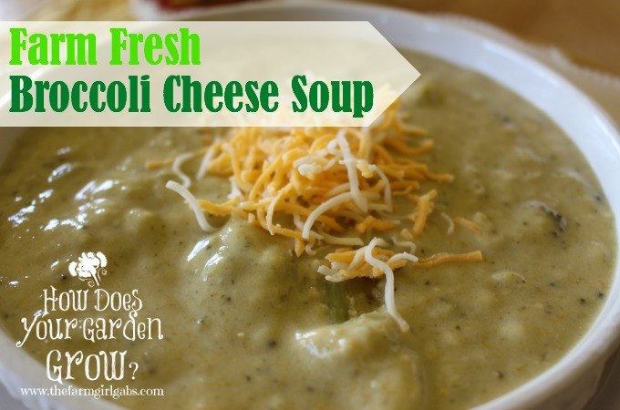 Broccoli Cheese Soup Title Feature 