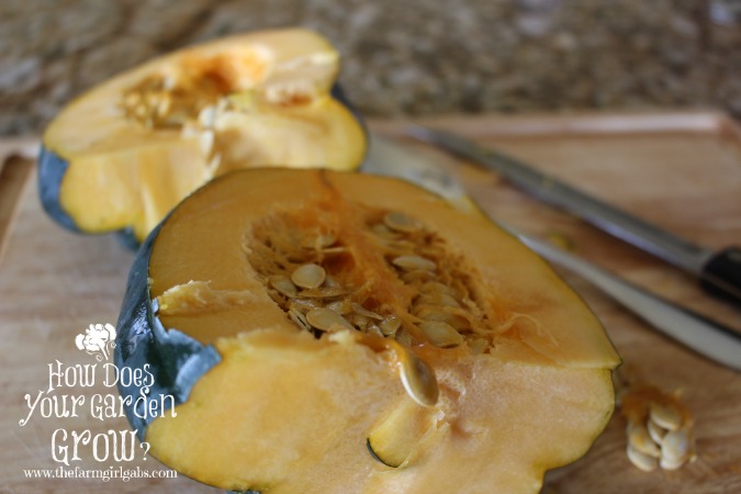 Halved Acorn Squash