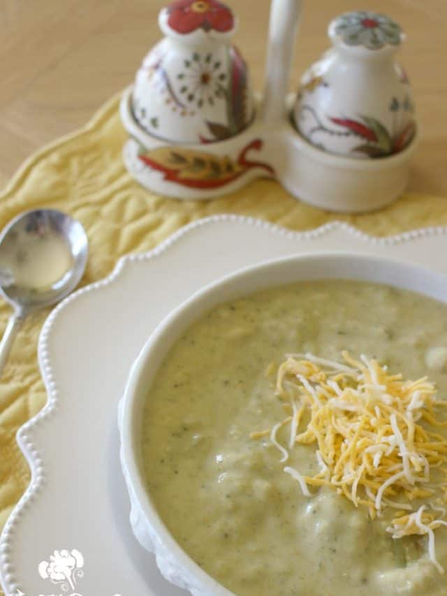 Farm Fresh Broccoli Cheese Soup Story The Farm Girl Gabs®