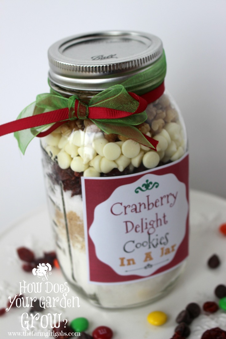 Cookies in a Jar Mason Jar Gift Idea