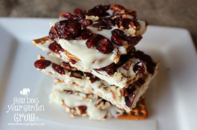 Cranberry Nut Pretzel Bark