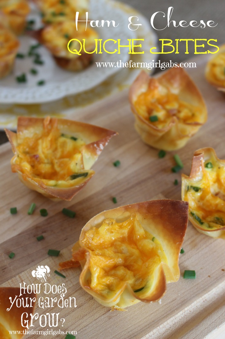 Ham & Cheese Quiche Bites