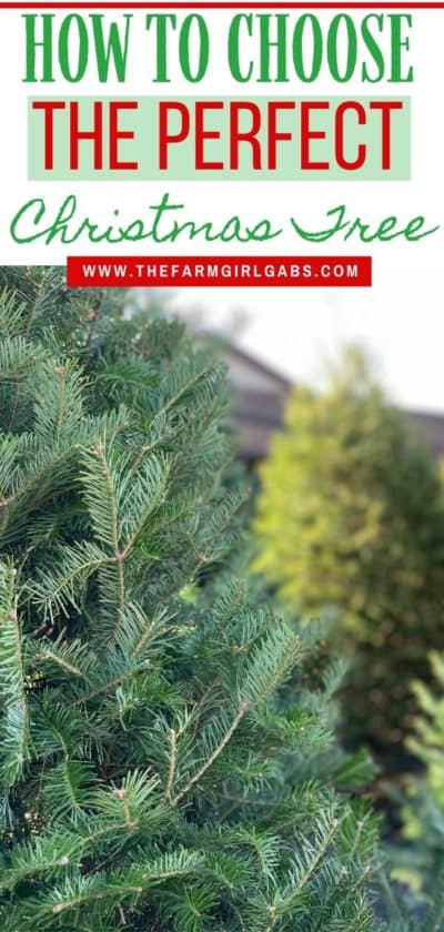 How To Choose the Perfect Christmas Tree - The Farm Girl Gabs®