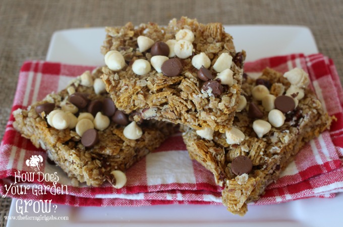 Grab & Go Breakfast Bars - Plated