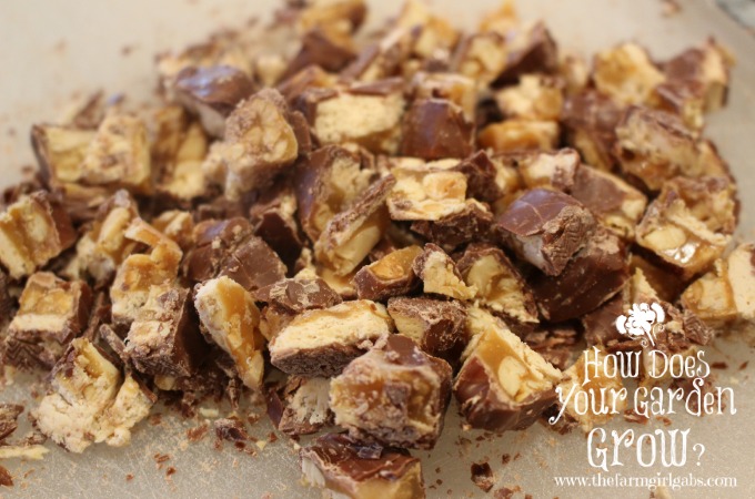 SNICKERS® Chopped - www.thefarmgirlgabs.com