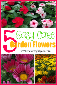 5 Easy Care flowers that your can plant in your garden. www.thefarmgirlgabs.com