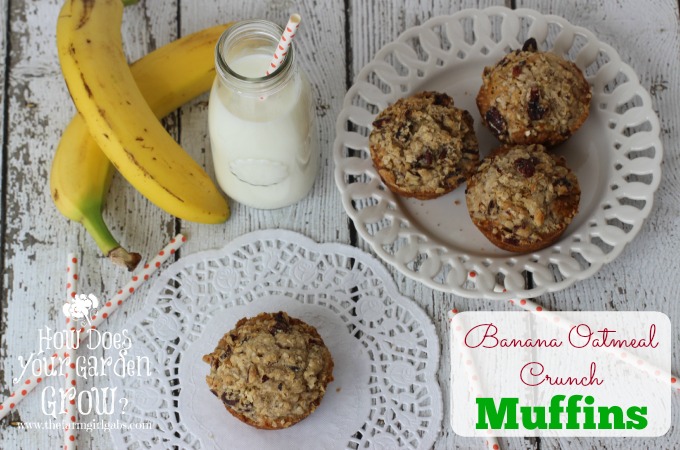 Banana Oatmeal Crunch Muffins
