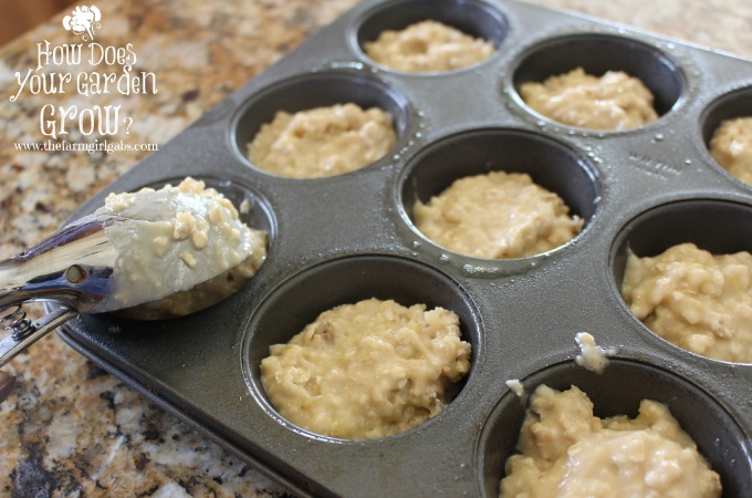 Banana Oatmeal Crunch Muffins