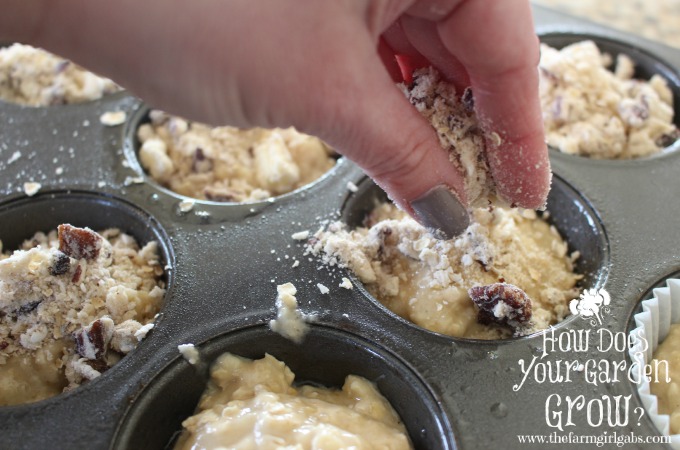 Banana Oatmeal Crunch - Streusel