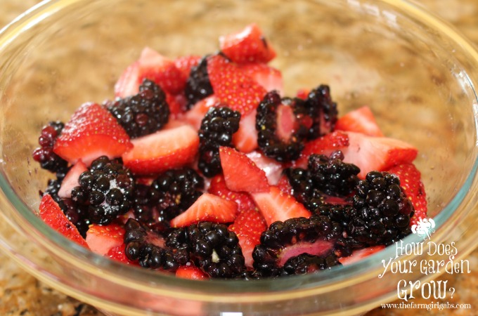Very Berry Dessert nachos