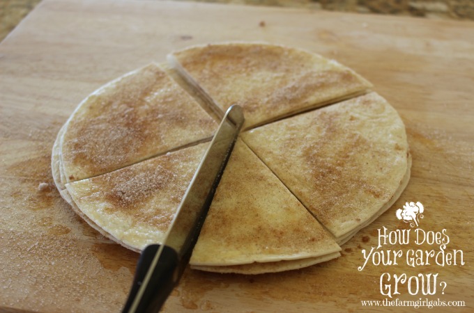 Cinnamon Sugar Tortillas