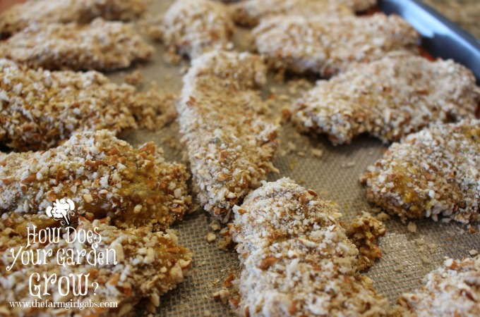 Honey-Dipped Pretzel Chicken