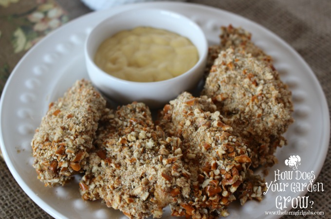 Honey Dipped Pretzel Chicken - Feature