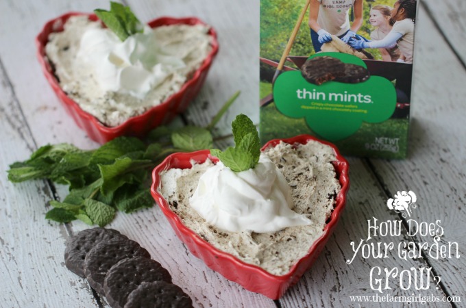 Thin-Minty Cheesecake Desserts