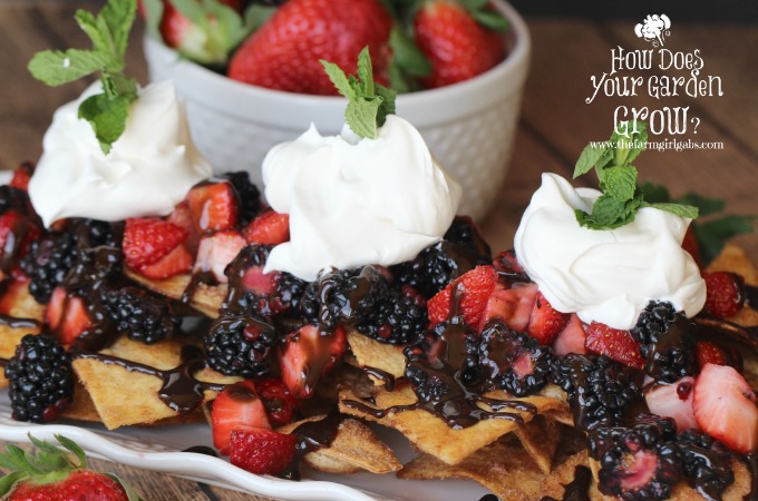 Very Berry Dessert Nachos- Close Shot