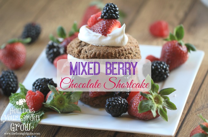 Mixed Berry Shortcake