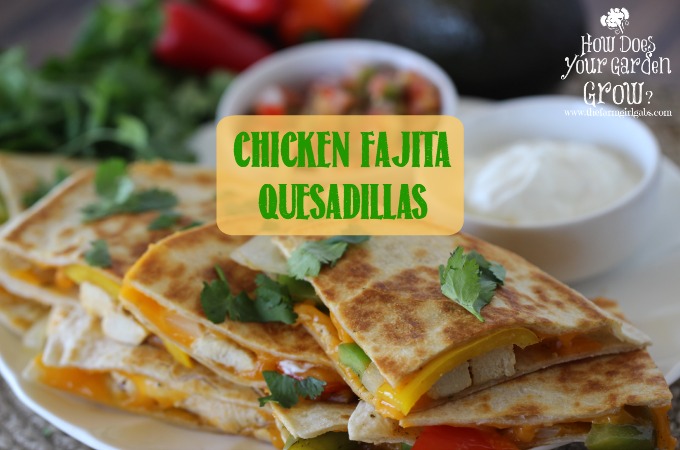 Chicken Fajita Quesadillas