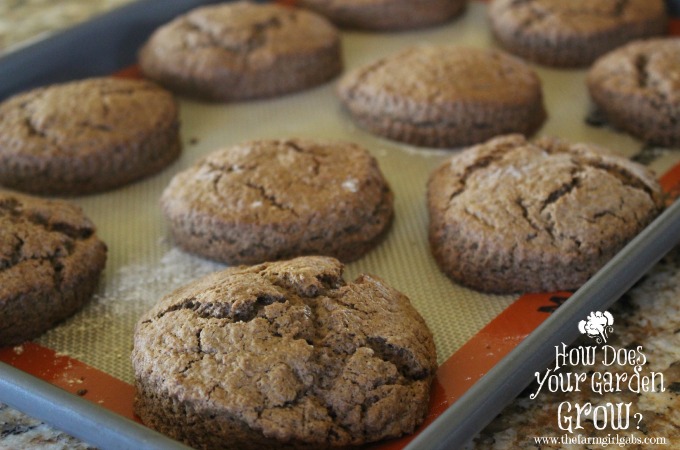 Chocolate Shortcakes - Baked