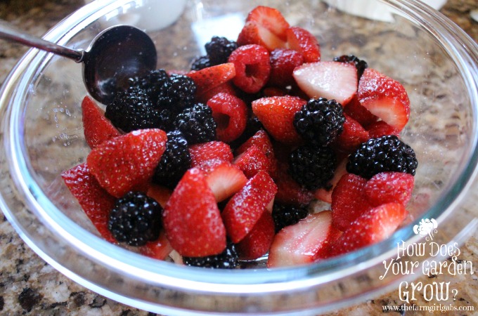 Driscoll Berries - Topping