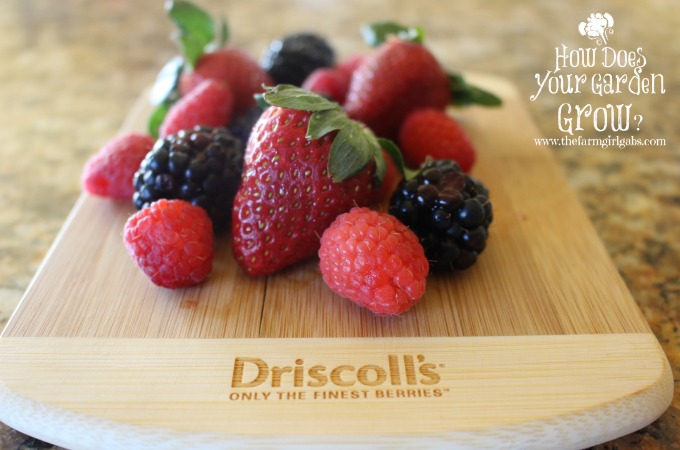 Driscoll Berries
