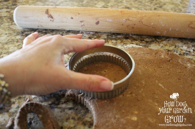 Mixed Berry Shortcake - Biscuit Cutter