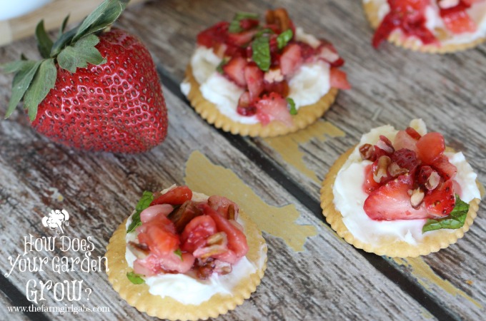 RITZ® Strawberry Bruschetta Bites  PutItOnARitz