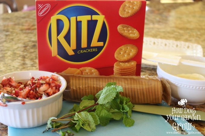 RITZ® Strawberry Bruschetta Bites  PutItOnARitz