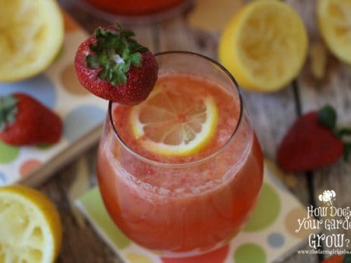 Download Strawberry Lemonade Diy Drink Coasters Showmetheshine